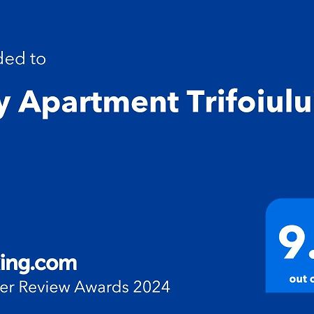 City Apartment Trifoiului Cluj-Napoca Exteriör bild
