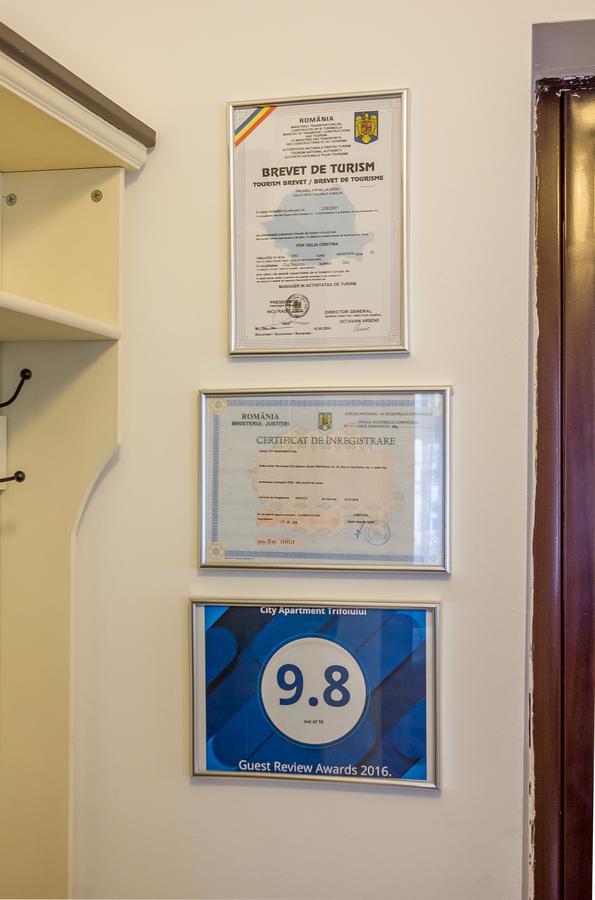 City Apartment Trifoiului Cluj-Napoca Exteriör bild